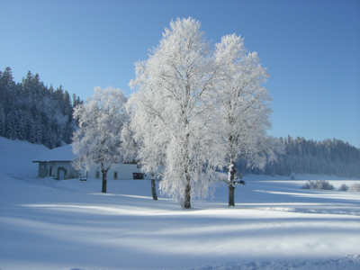 Winterbild mit Kaltluftsee